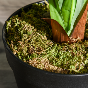 110cm/3.6FT Artificial Dracaena Tree Decorative Plant 40 Leaves Outsunny Unbranded