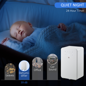 HOMCOM 10L/Day Protable Quiet Air Dehumidifier with Purifier, Timer, 5 Modes HOMCOM