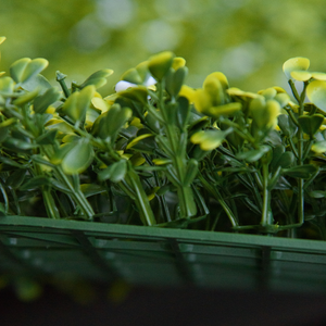 12PCS Artificial Boxwood Wall Panels 20" x 20" Grass Screen Milan Grass Outsunny