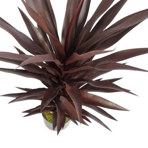 85cm Dark Red Yucca Plant Artificial Leaf