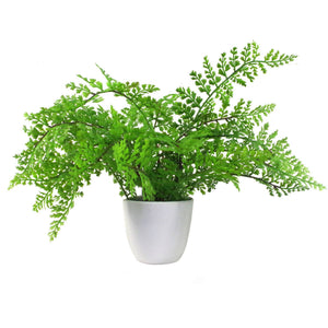 30cm Artificial Potted Royal Fern Leaf