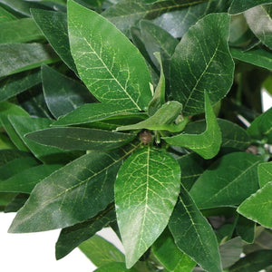 Pair of 120cm (4ft) Twist Natural Artificial Topiary Bay Laurel Ball Trees Leaf