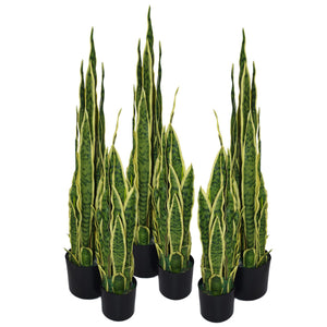 90cm (3ft) Artificial Sansevieria Yellow Green Indoor Plant - Large Leaf
