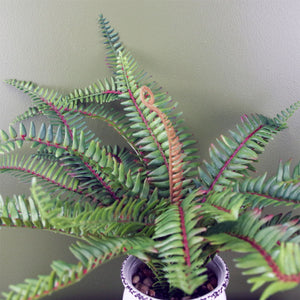 40cm Artificial Bushy Fern Potted in Decorative Planter Leaf