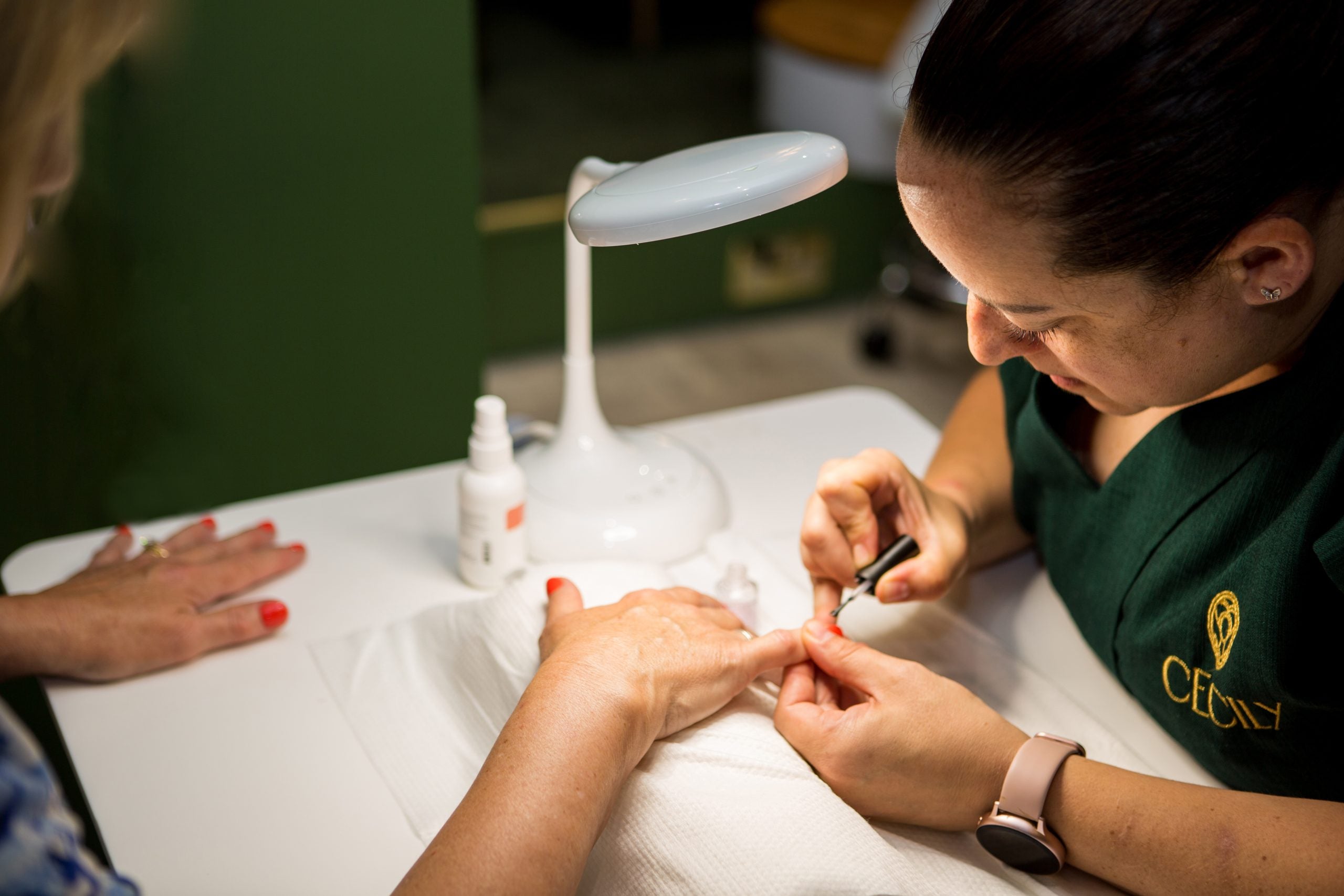 Chameleon Desk Magnifier