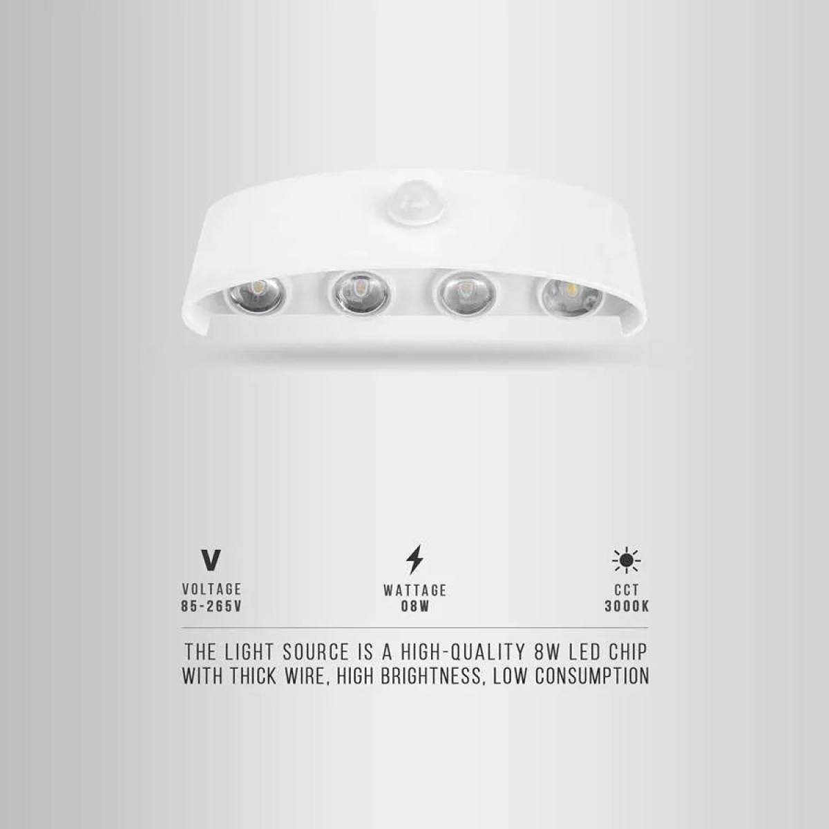 LED Wall Lights Indoor /Outdoor Up and Down~4503 LEDSone