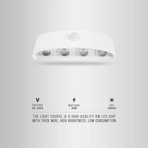 LED Wall Lights Indoor /Outdoor Up and Down~4503 LEDSone