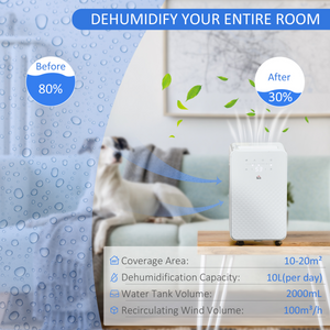 HOMCOM 10L/Day Protable Quiet Air Dehumidifier with Purifier, Timer, 5 Modes HOMCOM