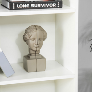 2 Door 4 Shelves Bookcase Wooden Storage Cabinet Display Unit White Unbranded