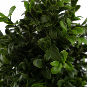 120cm Sprial Boxwood Artificial Tree UV Resistant Outdoor Leaf