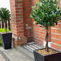 Pair of 120cm (4ft) Twist Natural Artificial Topiary Bay Laurel Ball Trees Leaf
