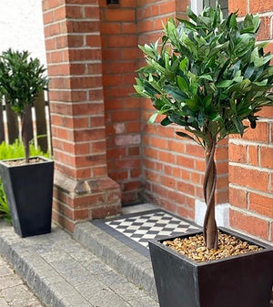 Pair of 120cm (4ft) Twist Natural Artificial Topiary Bay Laurel Ball Trees Leaf